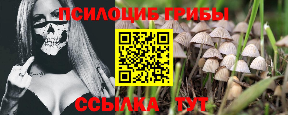 Псилоцибиновые грибы прущие грибы  Вход с VPN  Галлюциногенные грибы прущие грибы  Тимашёвск 